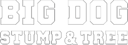 Big Dog Stump & Tree